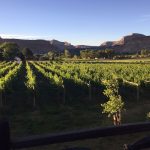 Bookcliff Vineyards 1